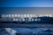 2024年世界杯在哪里举行，2024年世界杯在哪个国家举行
